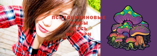 крисы Абинск