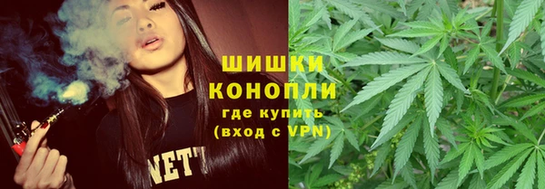 прущие грибы Абдулино