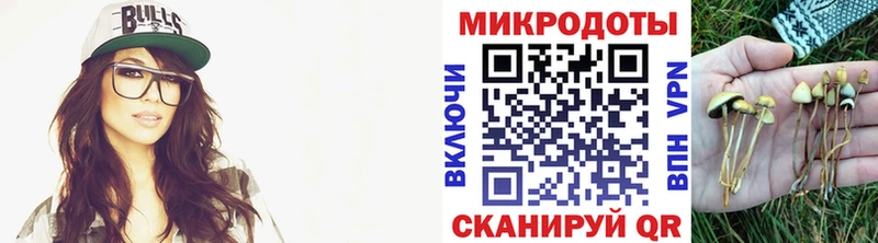 Галлюциногенные грибы мицелий  Каменногорск 